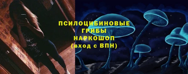 стаф Кулебаки