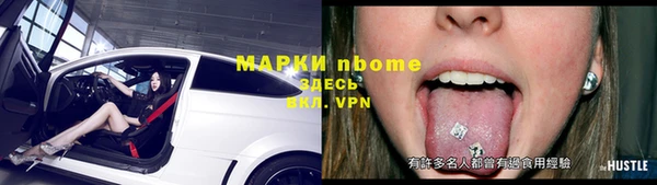 стаф Кулебаки