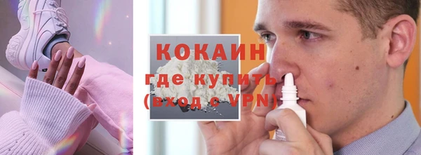 стаф Кулебаки
