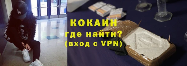 стаф Кулебаки