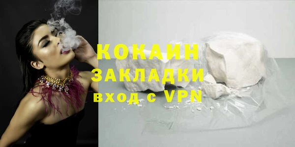 стаф Кулебаки
