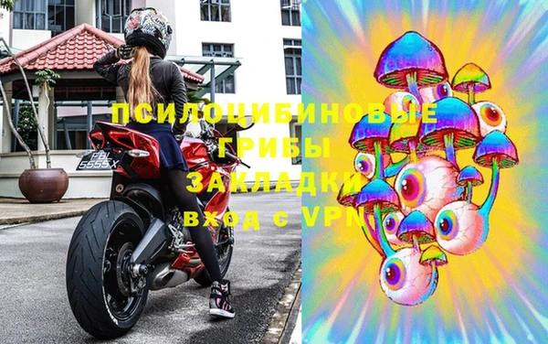 стаф Кулебаки