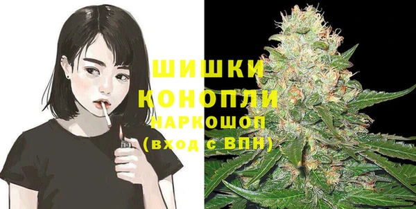 стаф Кулебаки