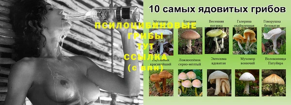 стаф Кулебаки